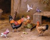 Chickens In A Farmyard - 埃德加·亨特
